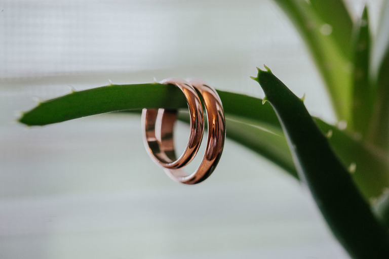 obrączki wiszące na kaktusie 