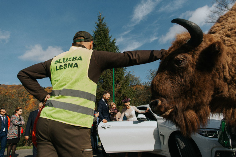 Para młoda z żubrem