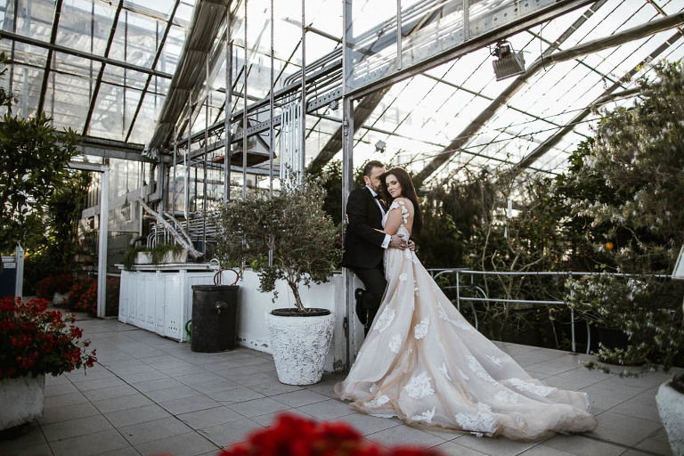 sesja slubna w szklarni