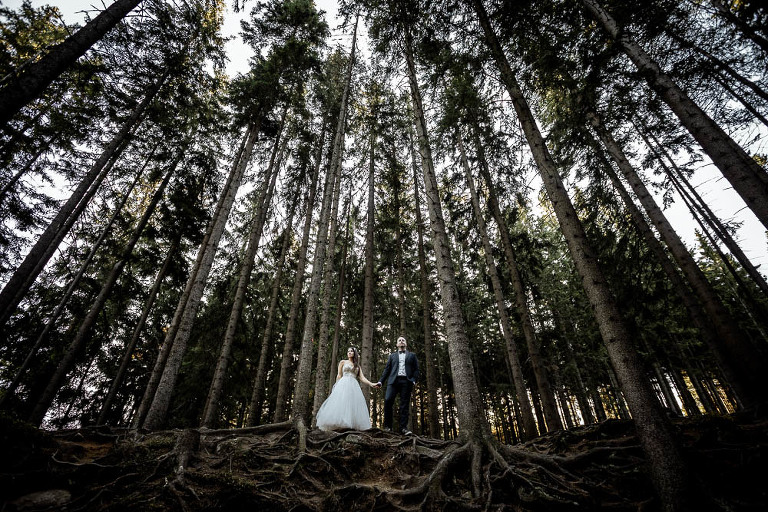 para ślubna podczas sesji zdjęciowej w Bieszczadzkim w lesie 